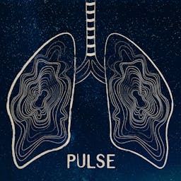 Pulse album artwork