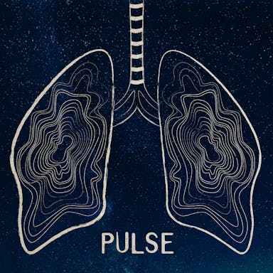 Pulse album artwork