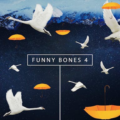 Funny Bones 4 album artwork