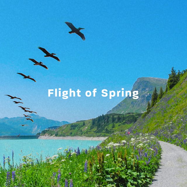 Flight Of Spring