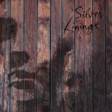 Silver Linings album artwork