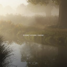 Every Living Thing album artwork
