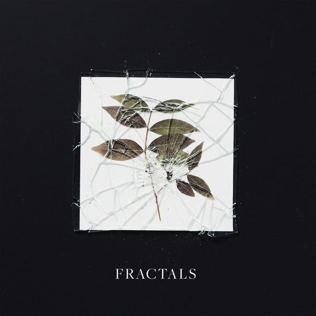 Fractals